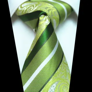 Celino Men's Green Paisley Silk Multi Color Neck tie neckties Premium Turkey Made