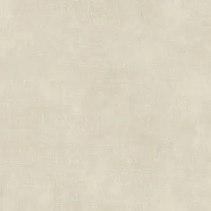 Cream Derby SD36146 Wallpaper