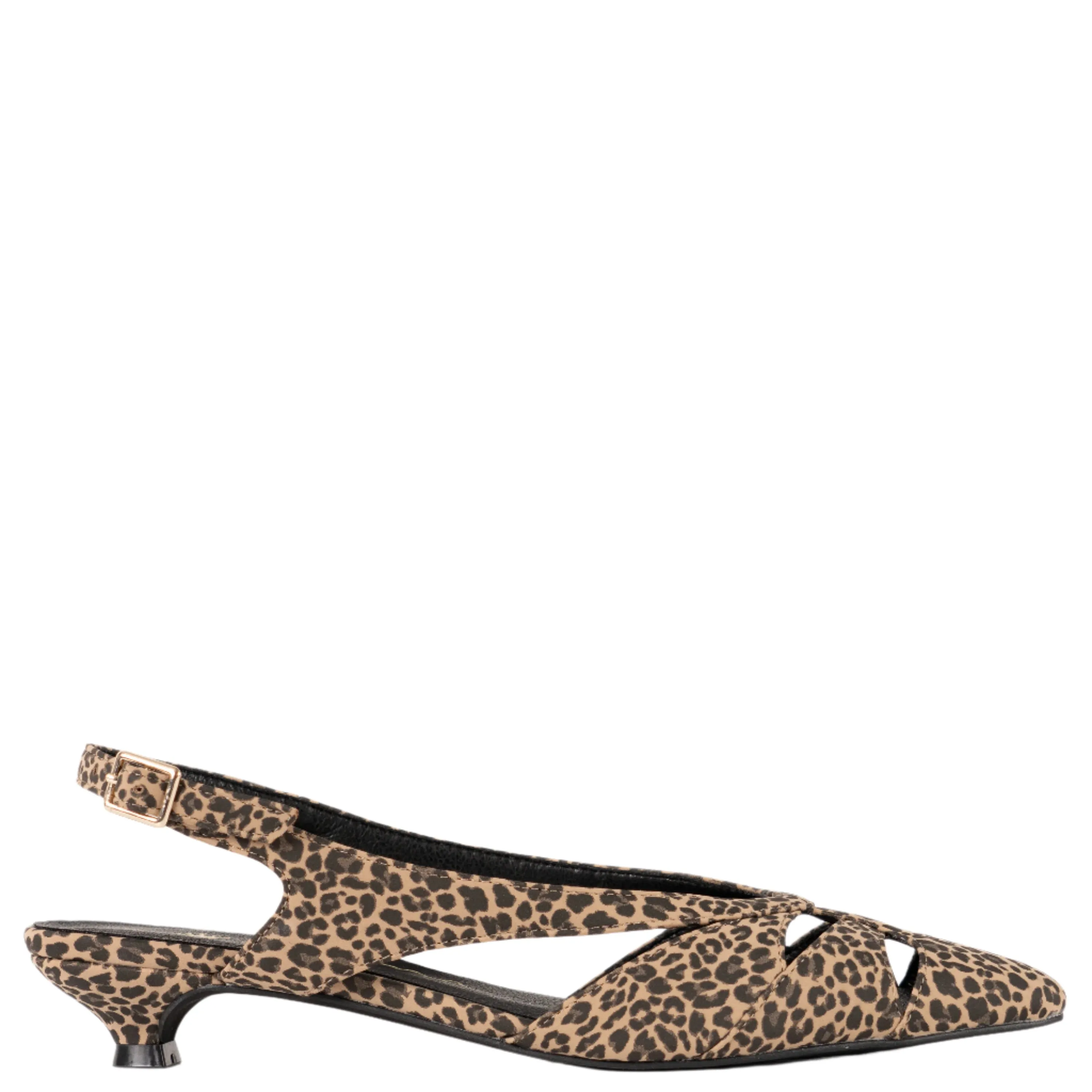 CUBA-DARK CHEETAH