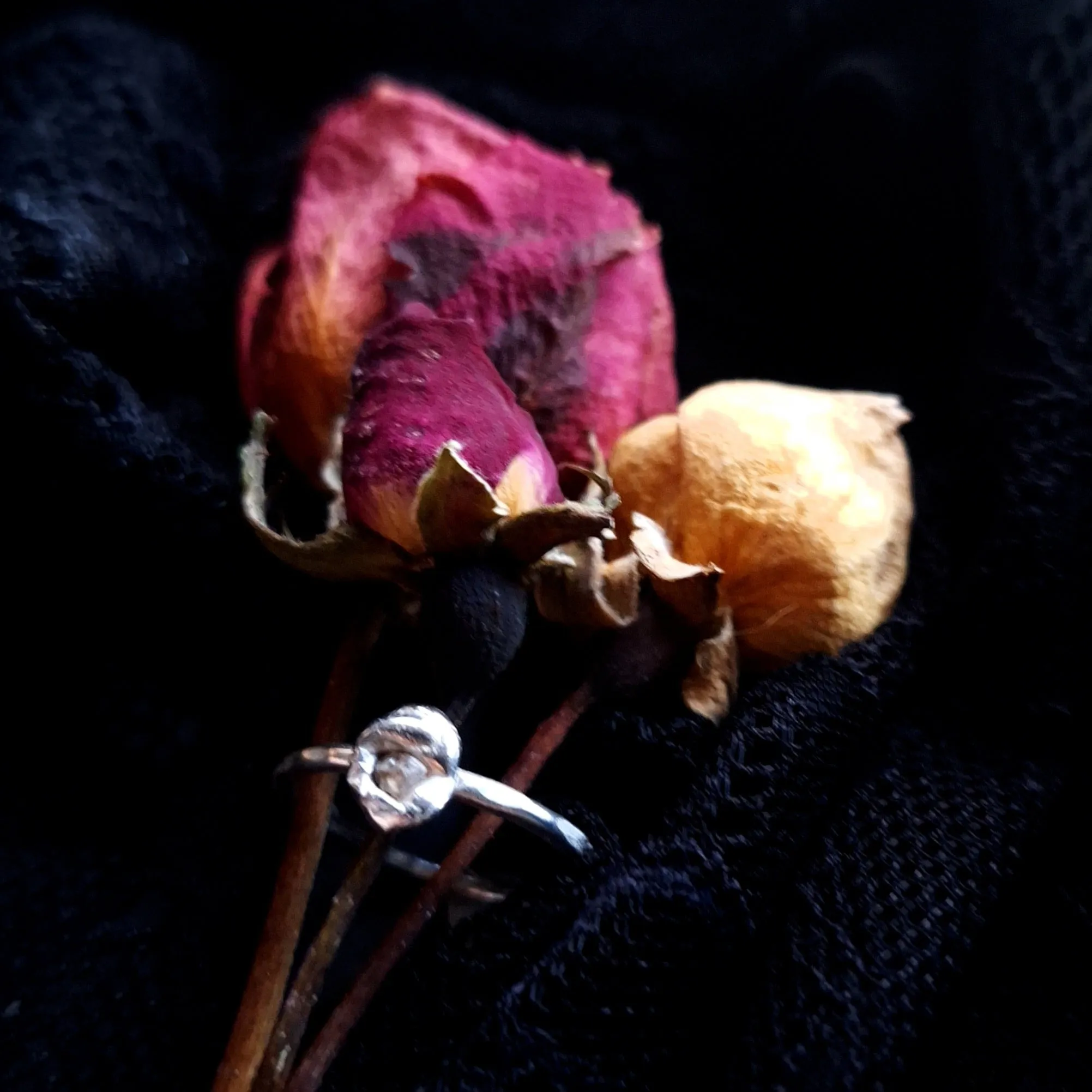 Eternal Ring (size 8)