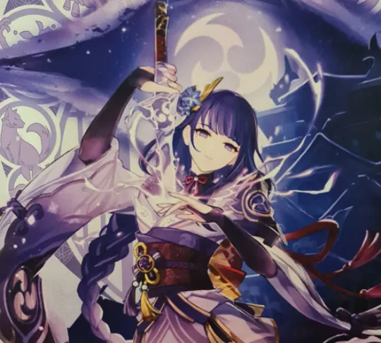 Genshin Impact Raiden Shogun Anime Wall Scroll / Poster / Banner - 39cm x 74cm