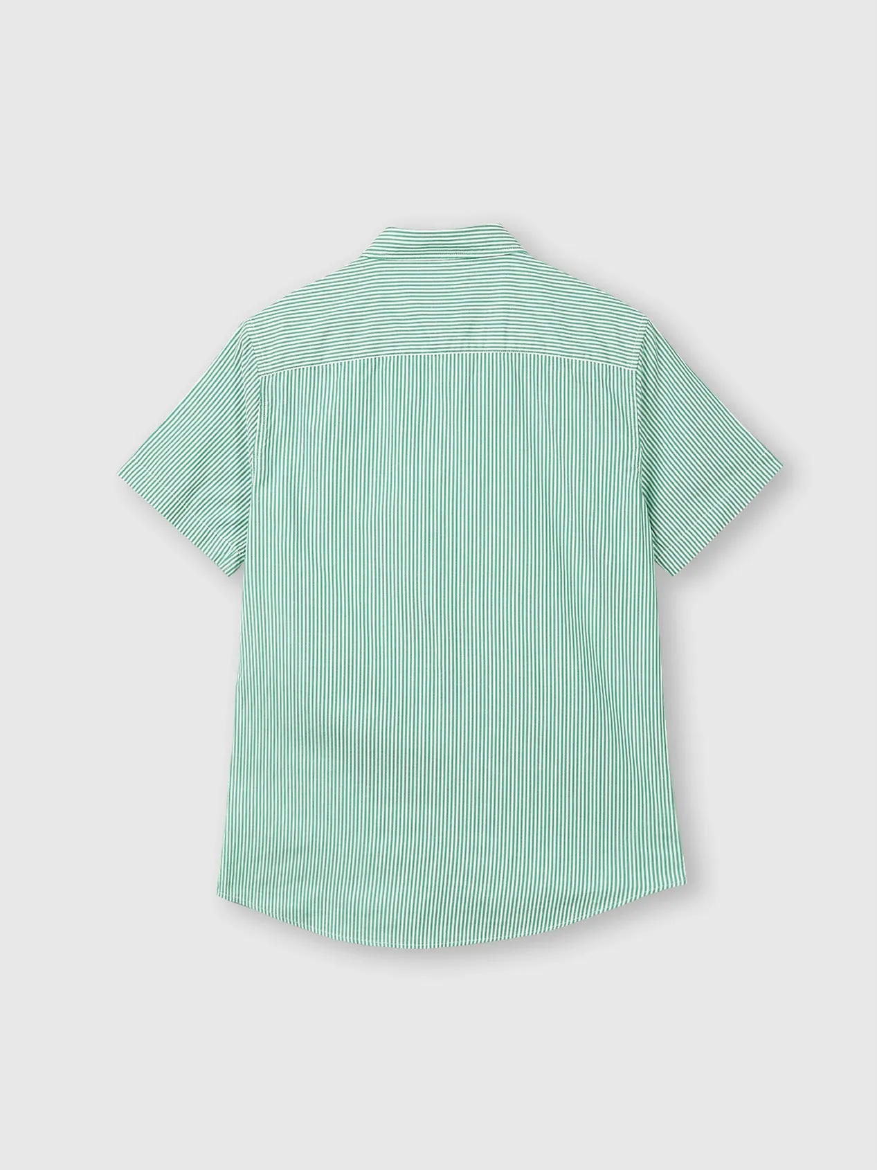 Pure Cotton Oxford Shirt with Stripes