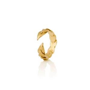 RÁN ring