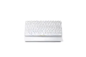 Silver Clutch Purse